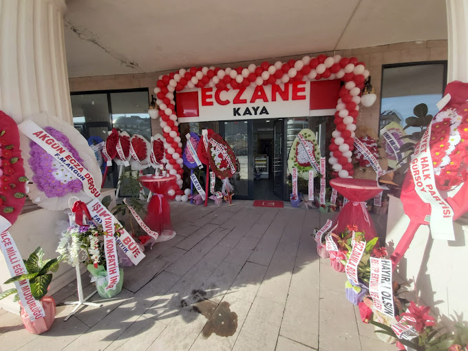 Kaya Eczanesi, ŞEBİNKARAHİSAR GİRESUN